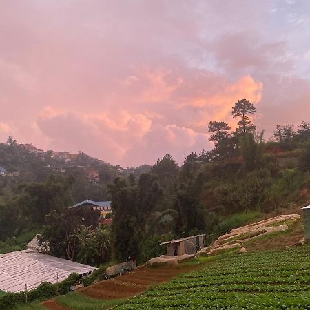 Mountain Sunctuary-S2 Unit With Breathtaking View Daire Baguio City Dış mekan fotoğraf